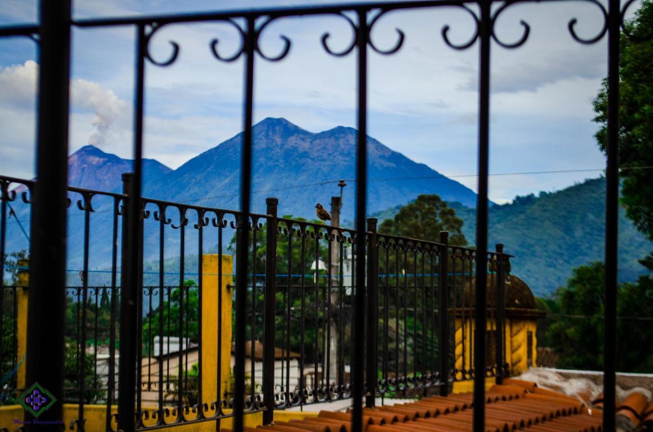 Maison Bougainvillea * Antigua
