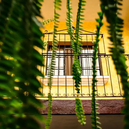 Maison Bougainvillea Antigua Exterior foto