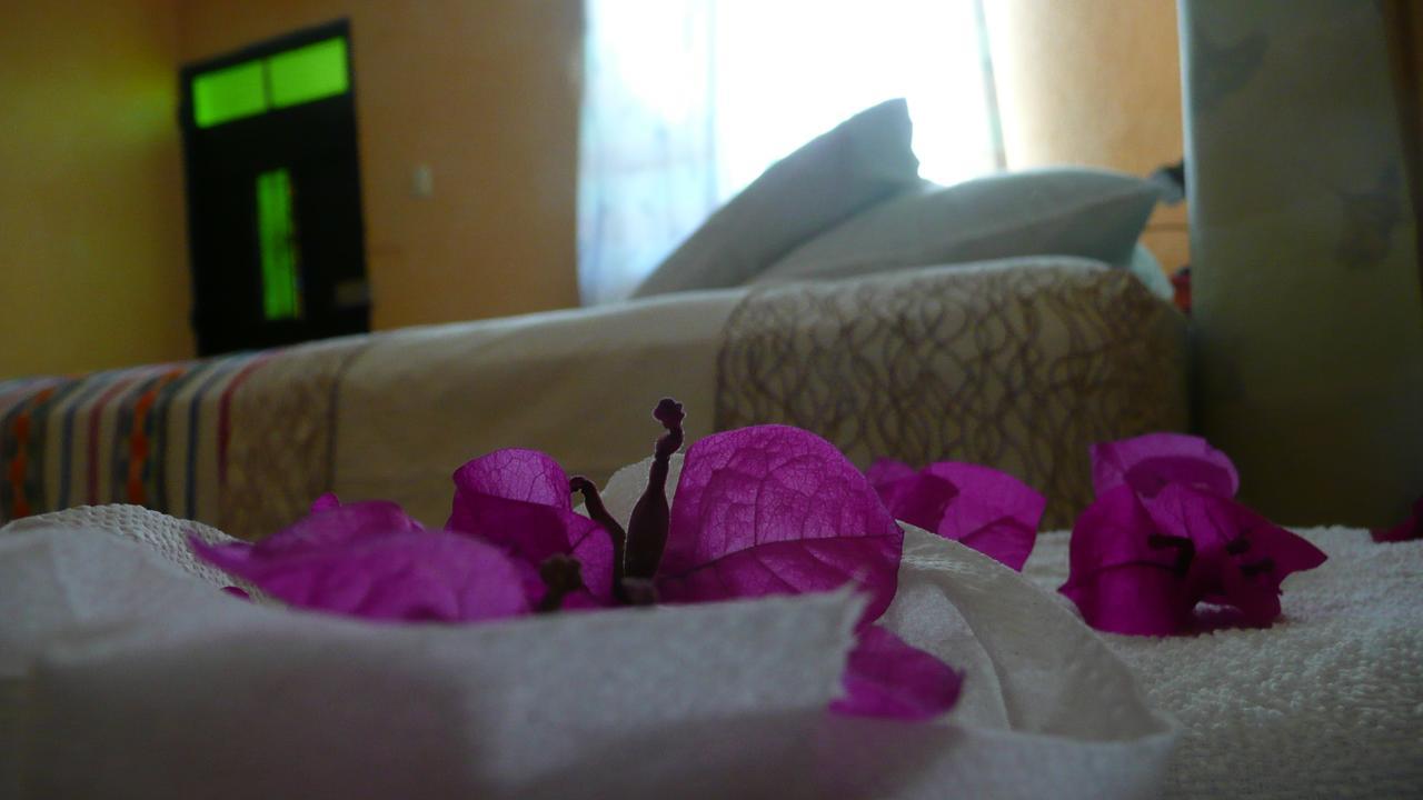 Maison Bougainvillea Hostal